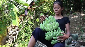 201K views · 4.4K reactions | Find & Cook natural green banana for food in the jungle - Green banana recipe Eating delicious - MAMA Chef --------------------------------------------- Credit By Primitive Survival Skills | MAMA Chef | Facebook