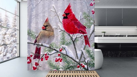 Winter Robin Red Cardinal Bird Shower Curtains for Bathroom, Waterproof Christmas Xmas Shower Curtain Set with 12 Hooks, 72x72