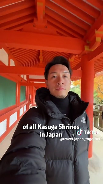 5 Must-Do Activities in Nara for Every Traveler