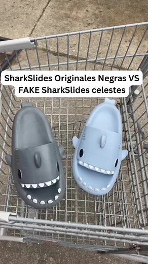 Chanclas de tiburón: ¿Originales o falsas?