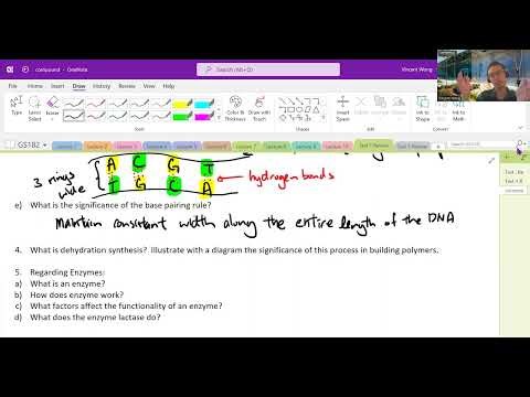 Week 6 Tutorial Test 1 Review + Lab 1 explaination