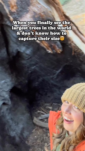 The giant sequoia trees are the largest trees in the world by volume and it feels almost impossible to capture the massive size of these trees!🌲 | Flyingdawnmarie
