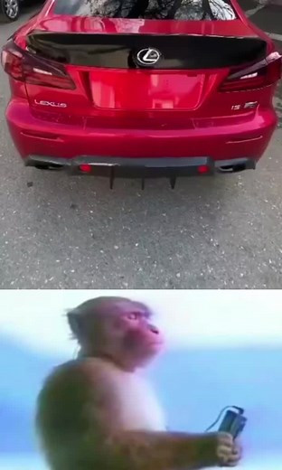 boostovich033. on TikTok