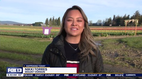Tulip festival begins today: Here's what you'll see