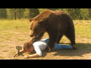Grizzly Bear Mauls Woman During Livestream in Montana on July 6th, 2025