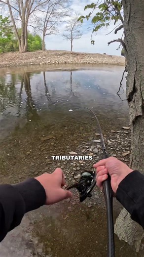 Catching every fish in PA apart: Smallmouth Bass 🐟🎣