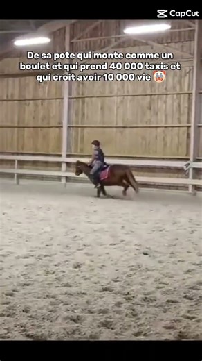c moi la 2e 🤣🤣🤣 #drole #equitation #fails #chute #cso #taxis #boulet #horse #drôle #cheval #poney