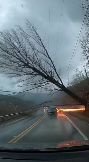 80K views · 113 reactions | Future Home on Reels | Facebook