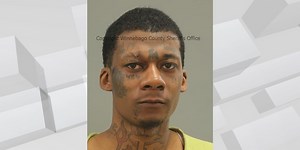 Rockford police: 2 guns, drugs found during warrant check in Rockford