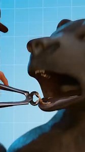 155K views · 1.2K reactions | "The Shocking Truth Behind Bear Wrestling in the 90s — A Fight That Was Never Fair!" #AnimalRights #BearWrestling #90sHistory #ShockingFacts #CrueltyExposed #ViralHistory #TrueStory #WildlifeAbuse #DidYouKnow #FactReel #TrendingNow #HumanVsAnimal #EmotionalFacts | Journey To The Universe | Facebook