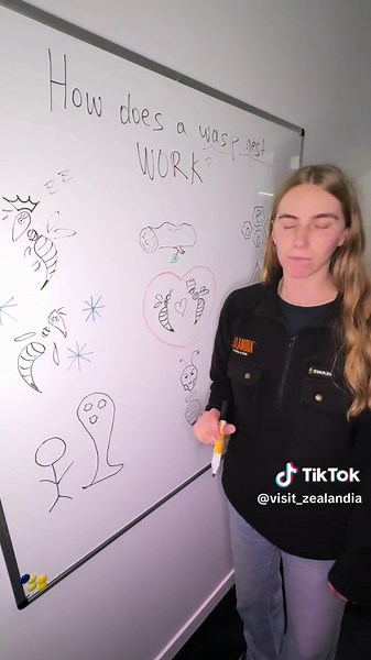 How to Spot and Manage Wasp Nests in New Zealand