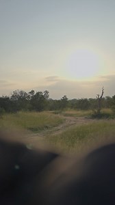 6.3K views · 163 reactions | Every day in Africa ends with a memorable sunset. After a thrilling afternoon drive, how better to appreciate it than with a chilled gin & tonic or ice-cold beer in hand - in eager anticipation of what nightfall may bring... #arathusasafarilodge #arathusa #luxurysafarilodge #luxurysafari #southafrica #wildlife #safari | Arathusa Safari Lodge | Facebook