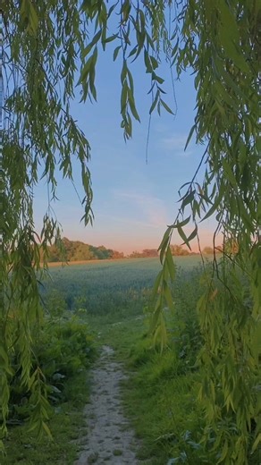 Serene Natural Landscape: A Tranquil Escape