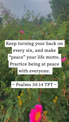 👉live a righteous life by rejecting sin, practicing kindness and compassion and valuing harmony in relationships. #scripture #bibleverse #verseoftheday Bible #Godknows #believers #Godisincontrol #Godisfaithful #God #JesusIsLord #PeacefulMind #faith #encouragement #GodFirst always! 🙏🙌 #highlightseveryone #everyone #fbreels #highlights #fypシ #FindGod #nonfollowersviewers 🙏 | Peace Of Mind