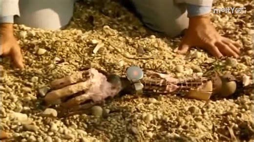 Ce cinquième volet de la saga est le plus “science-fiction” de tous : c’était une idée audacieuse pour l’époque, car mélanger comédie et extraterrestres dans un film populaire français était assez inédit. Les fameux extraterrestres métallisés ont marqué les spectateurs avec leurs effets spéciaux simples mais efficaces. D’ailleurs, Louis de Funès adorait improviser dans ses scènes de confrontation avec eux, ce qui a donné certaines des séquences les plus drôles du film. | Les Meilleures Scènes