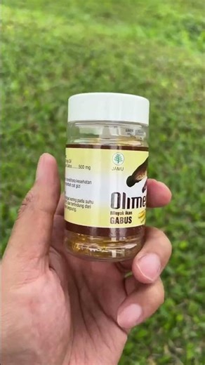Kapsul Olimex Minyak Ikan Gabus Asli Original #olimex #minyakikangabusolimex #kapsulolimex