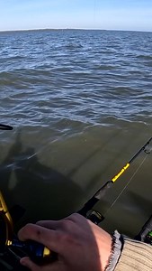 “That’s not good”….. was just slightly off there! #fishing #reels #giant #snapper @bkkhooksaustralia @ttfishing_aus | Nevs Fishing