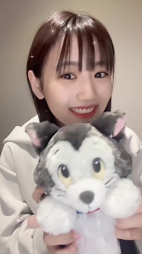 フィガロの可愛いディズニー猫グッズ紹介