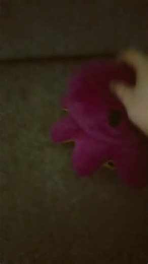 #rainbowfriends (didn’t actually have rainbow friend)