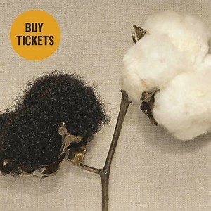 “The artist unraveling American history.” —The New York Times. Come and see for yourself! | National Museum of Women in the Arts