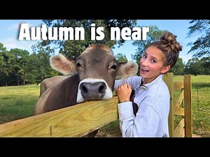 Fall Work on the Farm + New Animal ARRIVING!! 🍁