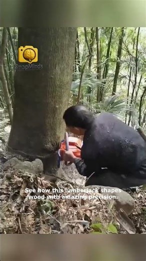 Incredible Lumberjack Woodworking Skills!