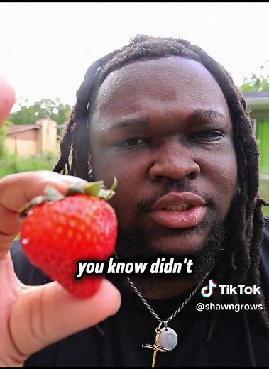 The Truth About Strawberries You Never Knew