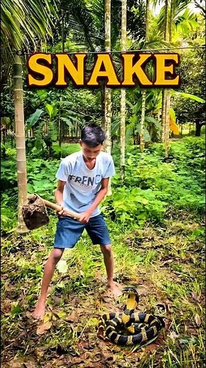 আজকে বাগানে গিয়ে সাপে কামড়ালো 😱 | Bengali Mini Vlog | #shorts #minivlog #bangla #vlogger