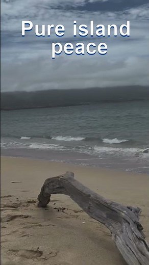Peaceful Maui Beach Morning with Driftwood & Mountain Views and Sounds😍 Ocean Feels Like Paradise