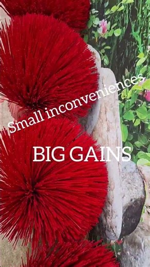 Small inconveniences, BIG GAINS!!! #quotes #cheerup