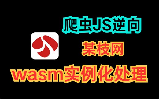 【爬虫逆向】某枝网头部wasm实例化处理与then回调|Python爬虫实战教程