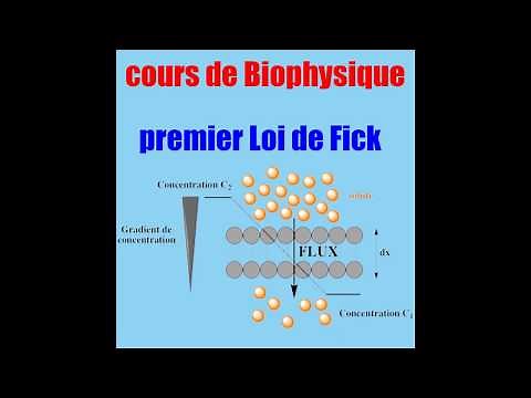 Biophysics: FICK's first law (diffusion)