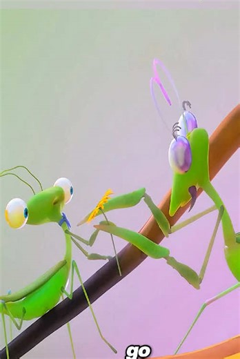 The Fascinating Mating Ritual of Praying Mantises