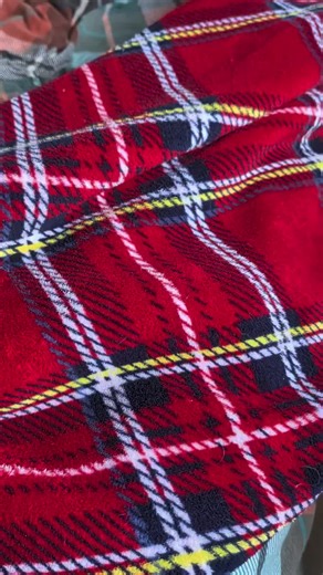 Listen to Pico laughing as we play hide and seek in the blanket 🤣🩷 #hideandseek #conure #parrot #petsoftiktok #funnypets