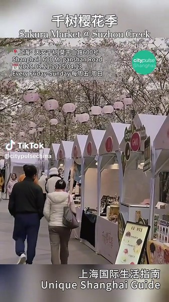 Cherry blossom market in Shanghai. #china #traveltochina #citypulse #chinatrip #shanghai #shanghaiguide #chinaguide