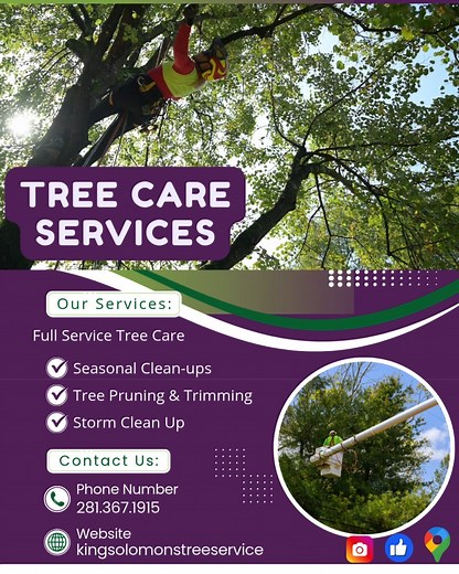 Fall Tree Service Reminder Fall is the perfect time to give your trees some TLC 🍁. Pruning before winter helps prevent broken branches and keeps your yard safe and beautiful. Our team knows exactly how to prepare your trees for the colder months ahead. 🌳✨ 📲 Message us today to schedule your fall service! We are The Official Tree Care Company of The Woodlands Township! #TreeCare #FallService #HomeImprovement #FullTreeService #HealthyHome #TreeMaintenance #SafeYard | King Solomon's Tree Service