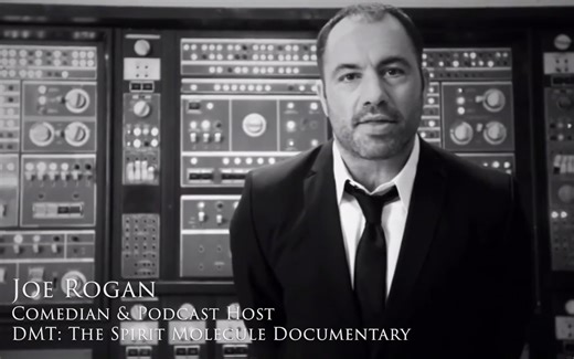 【生肉】纪录片 《DMT Quest》 对内源DMT的研究