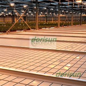 [Hot Item] Rolling Paper Bench Machine High Efficient Type Rolling Bench Grow Table with Hydroponic System