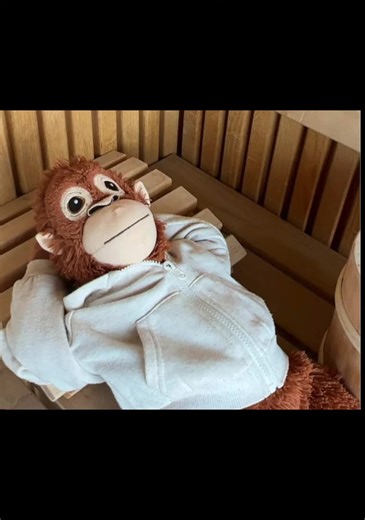 Understanding Life's Pain Through Memes: Block Dash