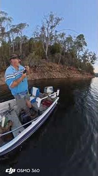Instant Murray Cod, Right On Cue with 360 camera. #murraycod #fishing #360