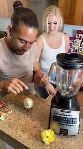 The Chick Made A Magical Escape! | Chloe The Legend