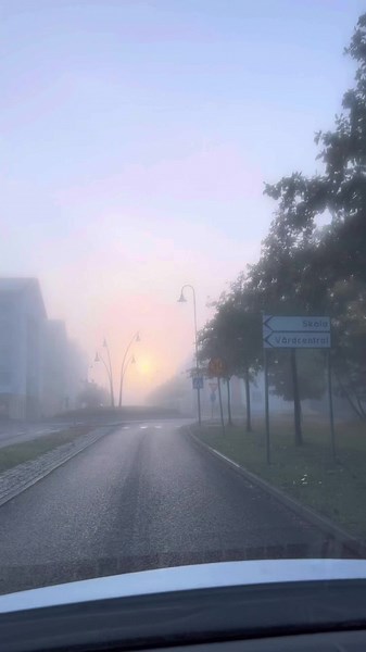 #learnswedish #swedishforbeginners #sfi #easyswedish #svenska