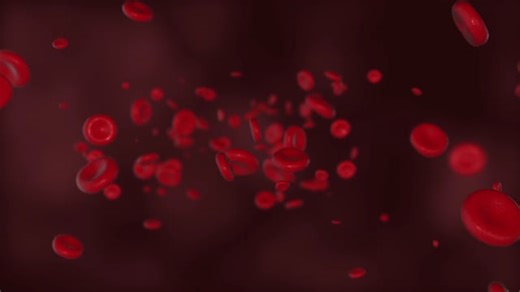 Rbc Videos: Download 3+ Free 4K & HD Stock Footage Clips - Pixabay