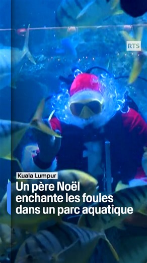 RTS Info on Instagram: "🎅🐠 À Kuala Lumpur, le "Père Noël aquatique" fait sensation à l'Aquaria avec un spectacle sous-marin unique en son genre. Chaque année, ce parc aquatique malaisien se transforme en un lieu féerique pour célébrer Noël, attirant de nombreux visiteurs émerveillés par cette performance originale. Le Père Noël, vêtu de son costume traditionnel, plonge parmi les poissons exotiques et les coraux, offrant un spectacle magique et captivant pour petits et grands. Ce rendez-vous an