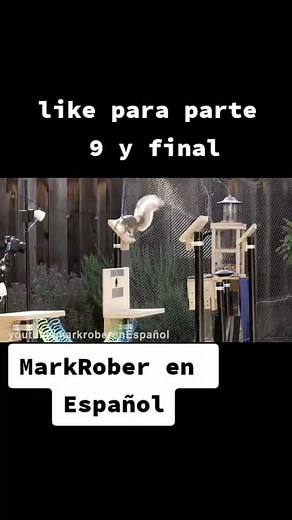 laberinto de ardillas 1.0 parte 8 ##ardillas #markrober #MarkRoberenES