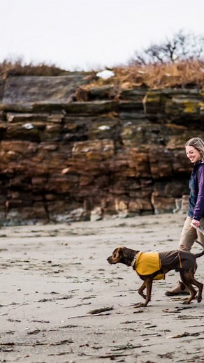 One rain jacket, so many adventures! 🌧️🌦️☔️ . . . winter dog gear, dog rain jacket, dog apparel, | Ruffwear