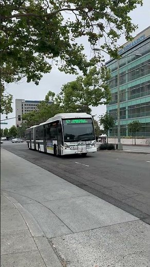 Metro Transit Shorts #31