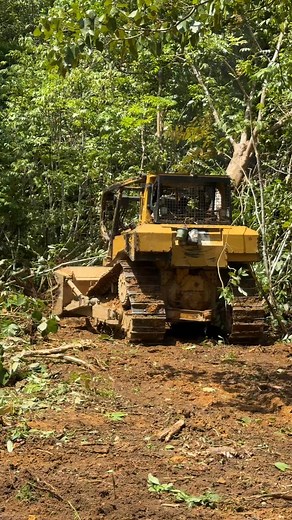 14K views · 273 reactions | bulldozer awesome #usa #road #bulldozer | Doser Machine | Facebook