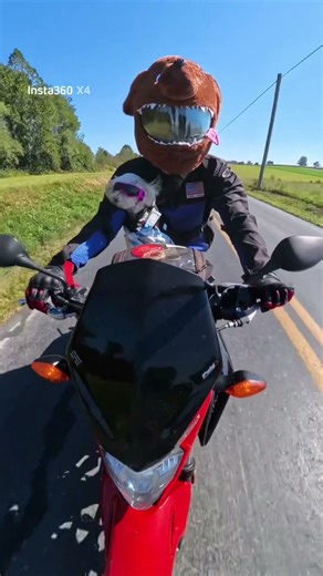 Lucy the moto-dog meets Gerald the spinning Amish dog