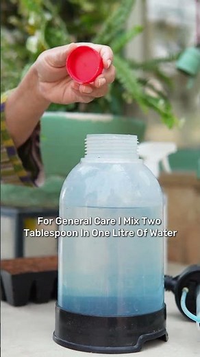 Does Food Grade Hydrogen Peroxide 3% Help Plants?
